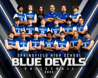 SHS Volleyball team